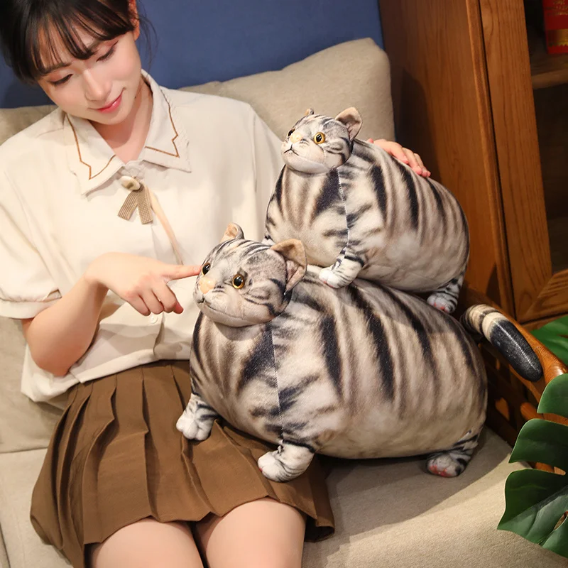 30/50 سنتيمتر السمين الدهون القط بلوشي لعبة ثلاثية الأبعاد محاكاة رئيس صغير كبير الجسم دمية على شكل حيوان وسادة عناق ديكور المنزل #5