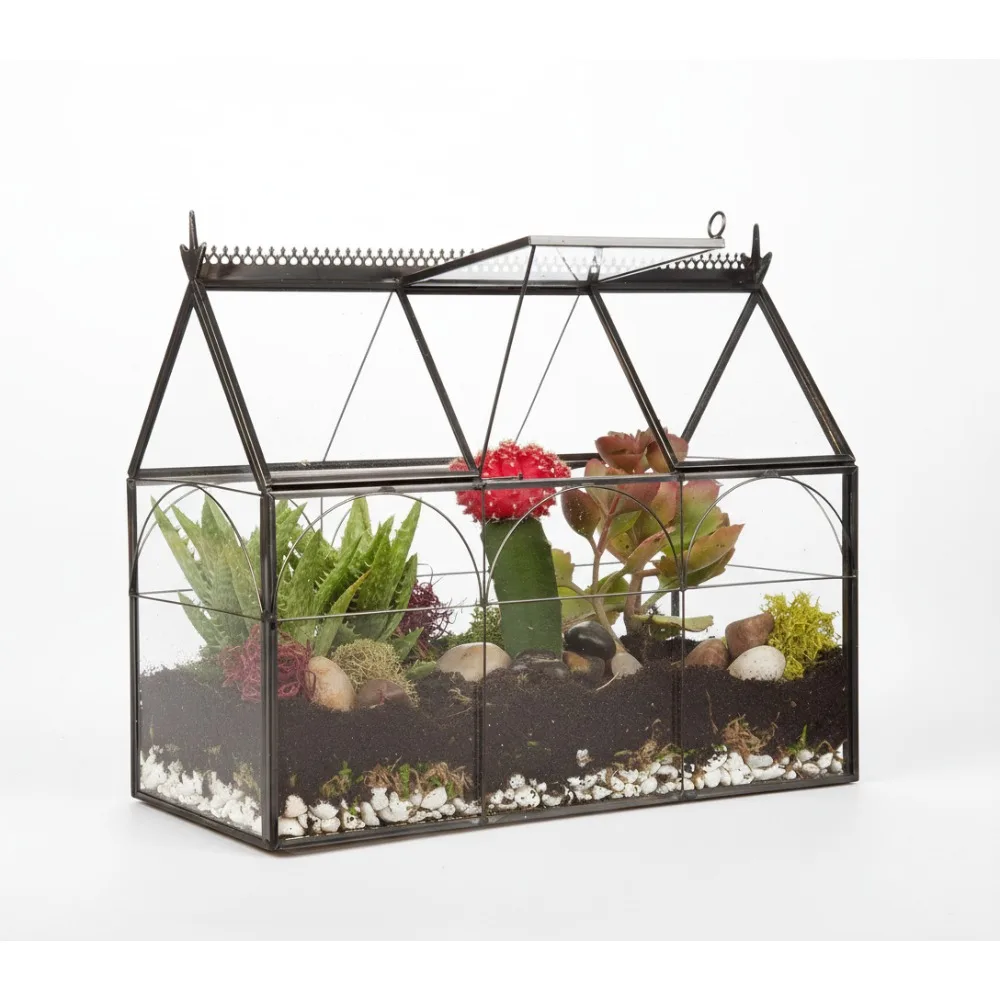 

Glass Greenhouse Terrarium 10x4.5x9 - Hinged Geometric Planter for Succulents Air Plants - Home Office Wedding Decor Gift
