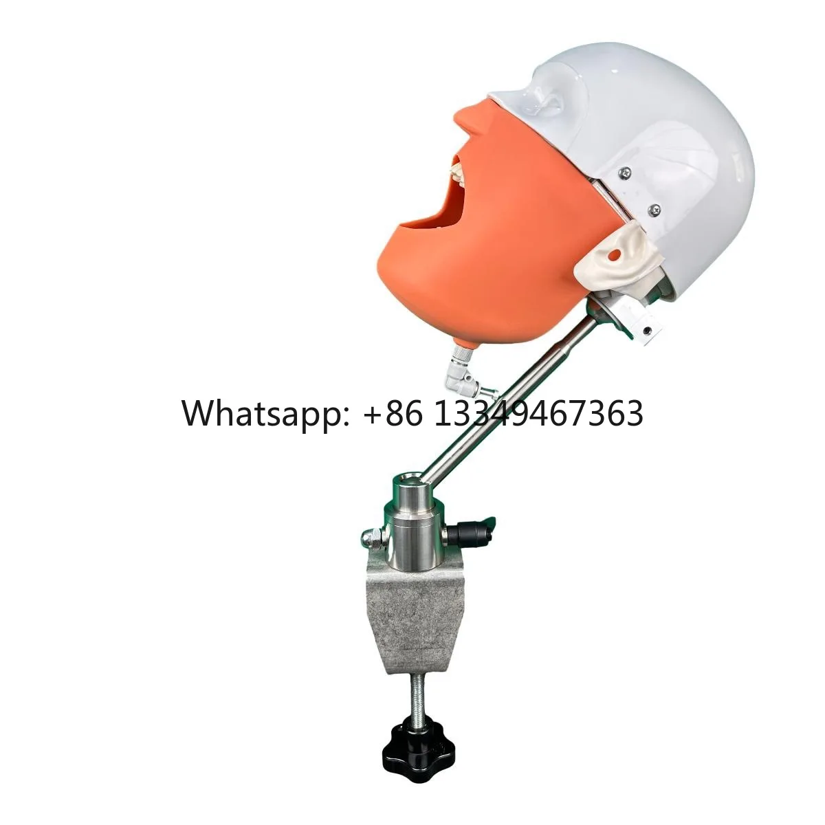 Dental Phantom Head Manikin Single Product for Dental Teaching Anatomical Model in Silicone Plastic Metal
