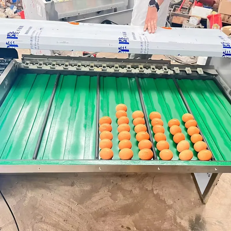 Customizable Automatic Egg Grading Sorter 304SS with Crack Detection 5400-10000pcs/h for Poultry Farm Egg Processing