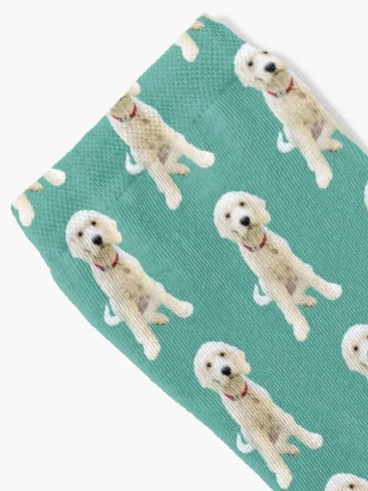 Gorgeous Goldendoodle aqua Socks cute hip hop Men Socks Luxury Brand Women's