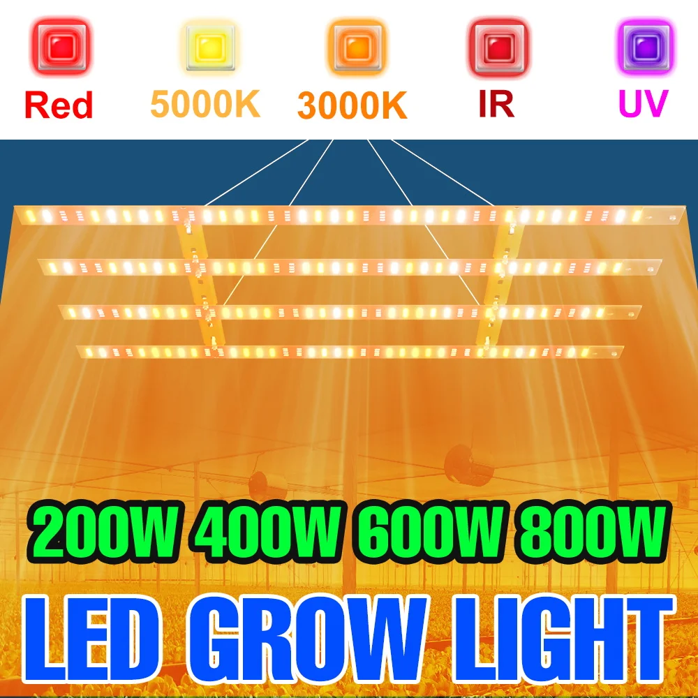 

800 Вт светодиодные лампы для выращивания растений, фитолампа полного спектра, квантовая доска, тепличная палатка, овощи, сочный кактус, культивация мха