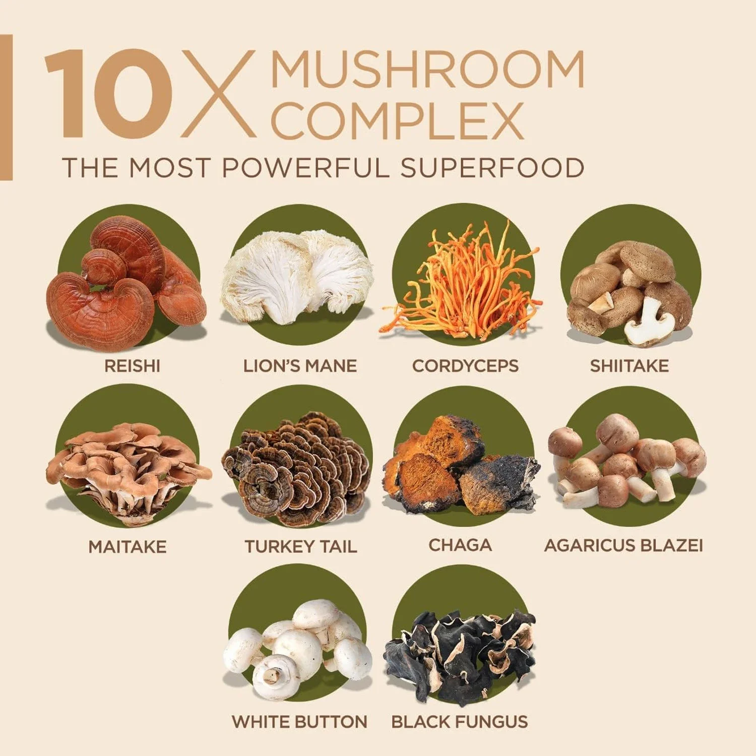10x Mushroom Complex Capsules with Lions Mane, Chaga Nootropic Brain Supplement for Memory and Immunity view 4
