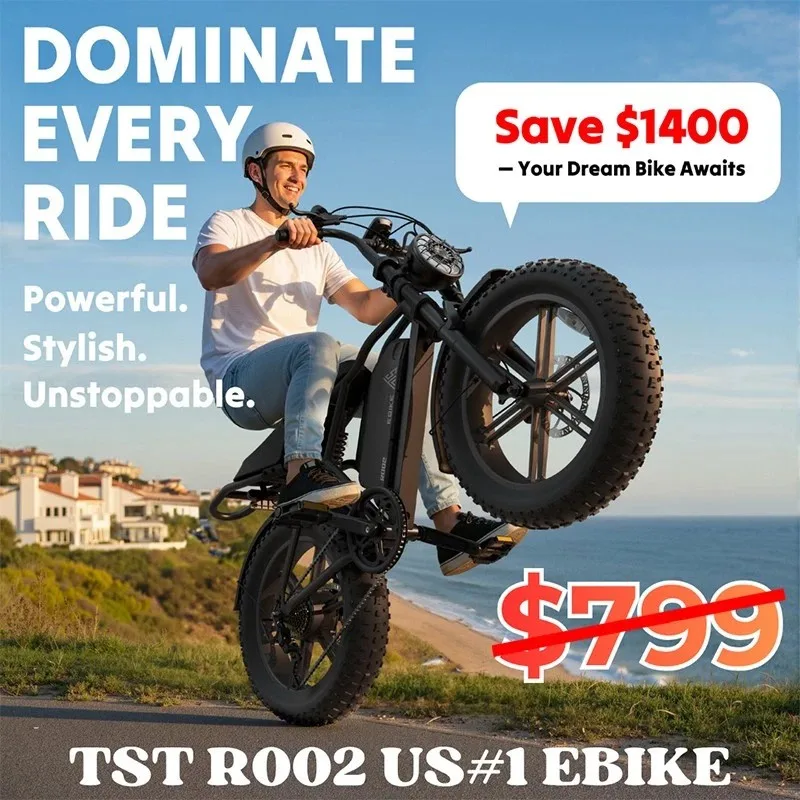 R002 48V/15AH Dual Suspension 20" Fat Tire Electric Bicycle Adult Ebike NEW