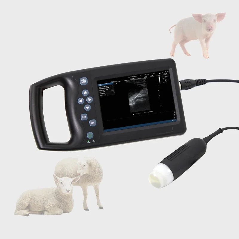 

Portable Veterinary B Ultrasound Sow Tester Veterinary Ultrasound Scanner Pig Testing Equipment Ultrasound Device