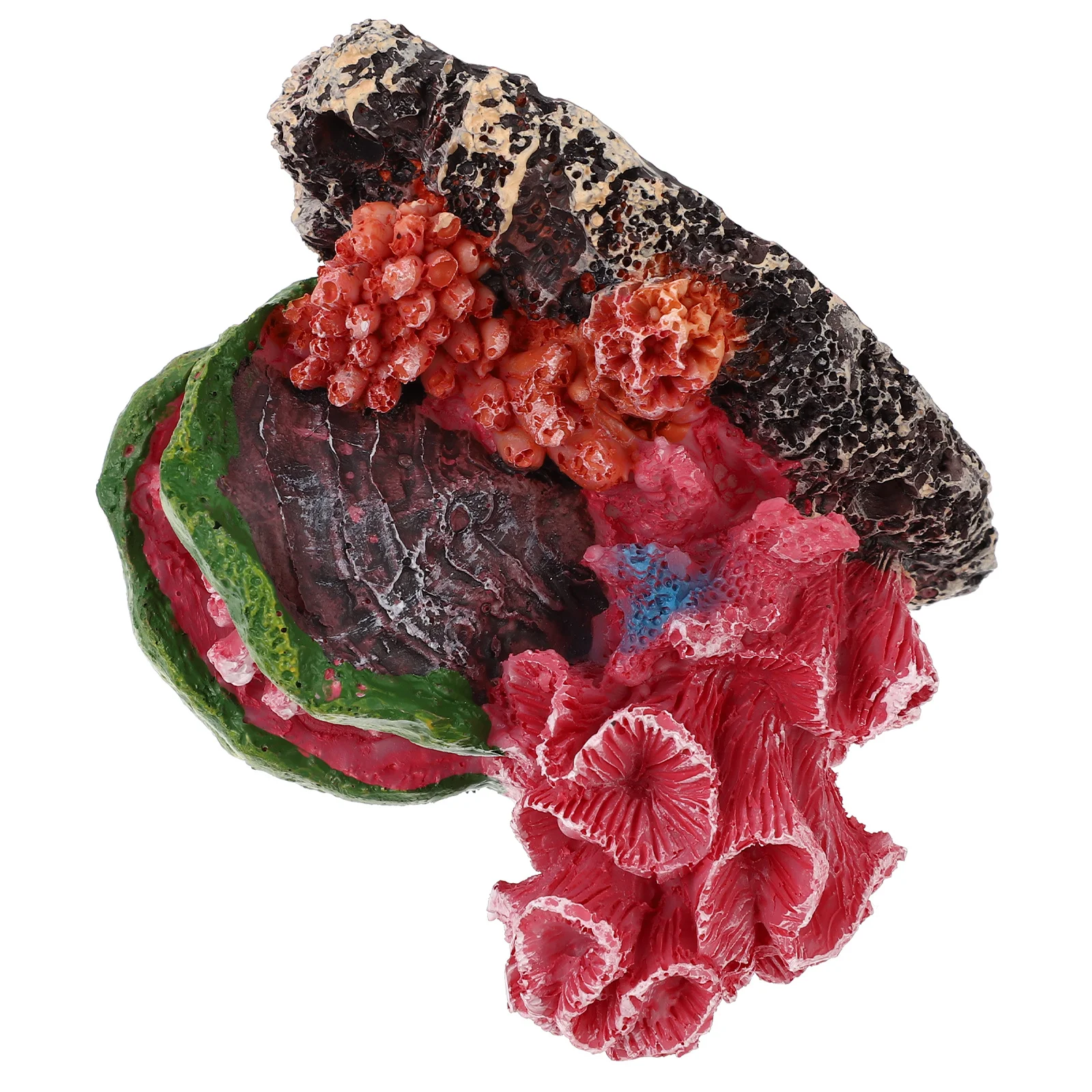 

Simulation Coral Reef Rock Aquarium Decoration Lifelike Artificial Coral Shell Fish Tank Landscape Ornament Simulation Shell