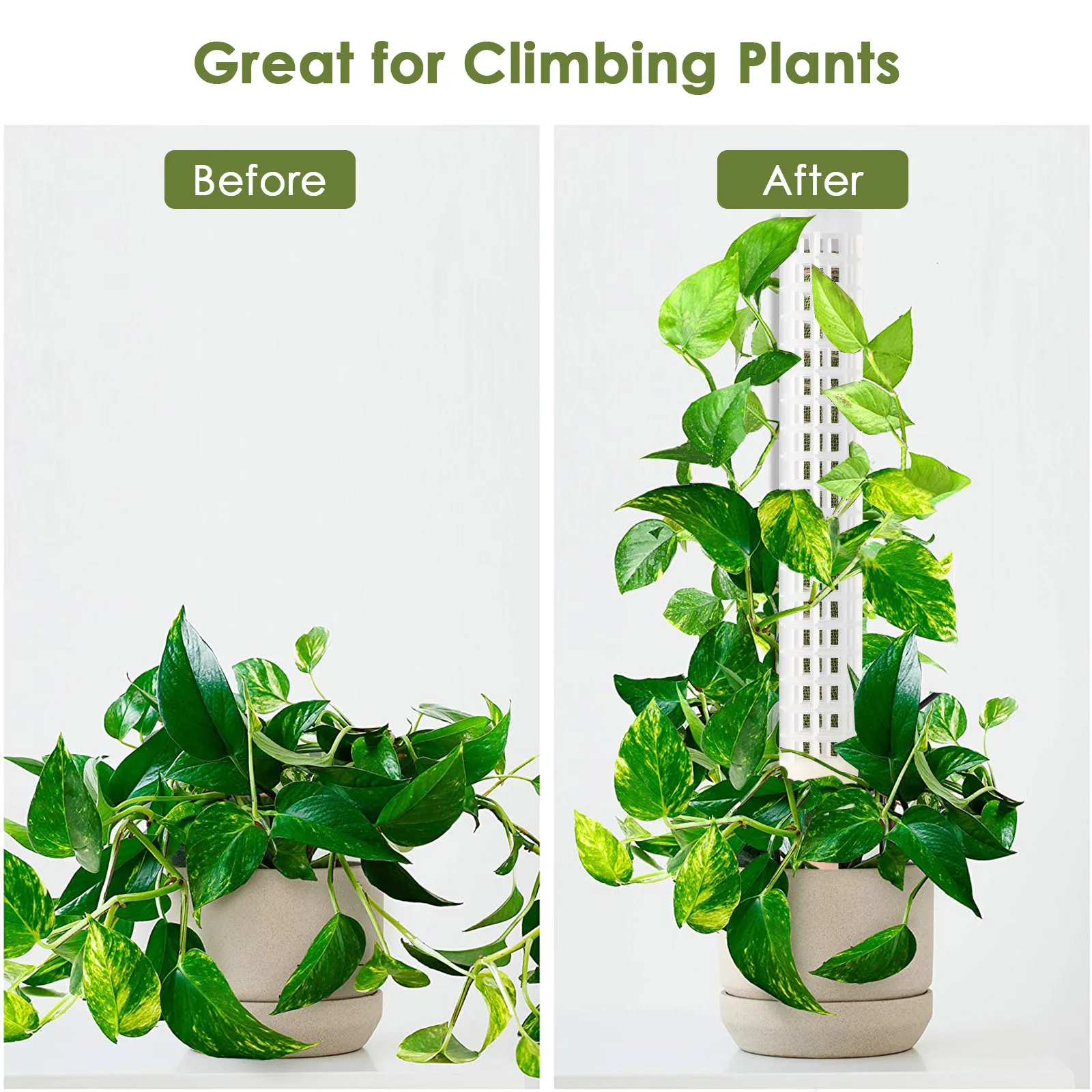 Plants Climbing Stick Sphagnum Plant Support Trellis Frame Water Moss Column Pole For Potted Flower Vines Climbing Home Decor