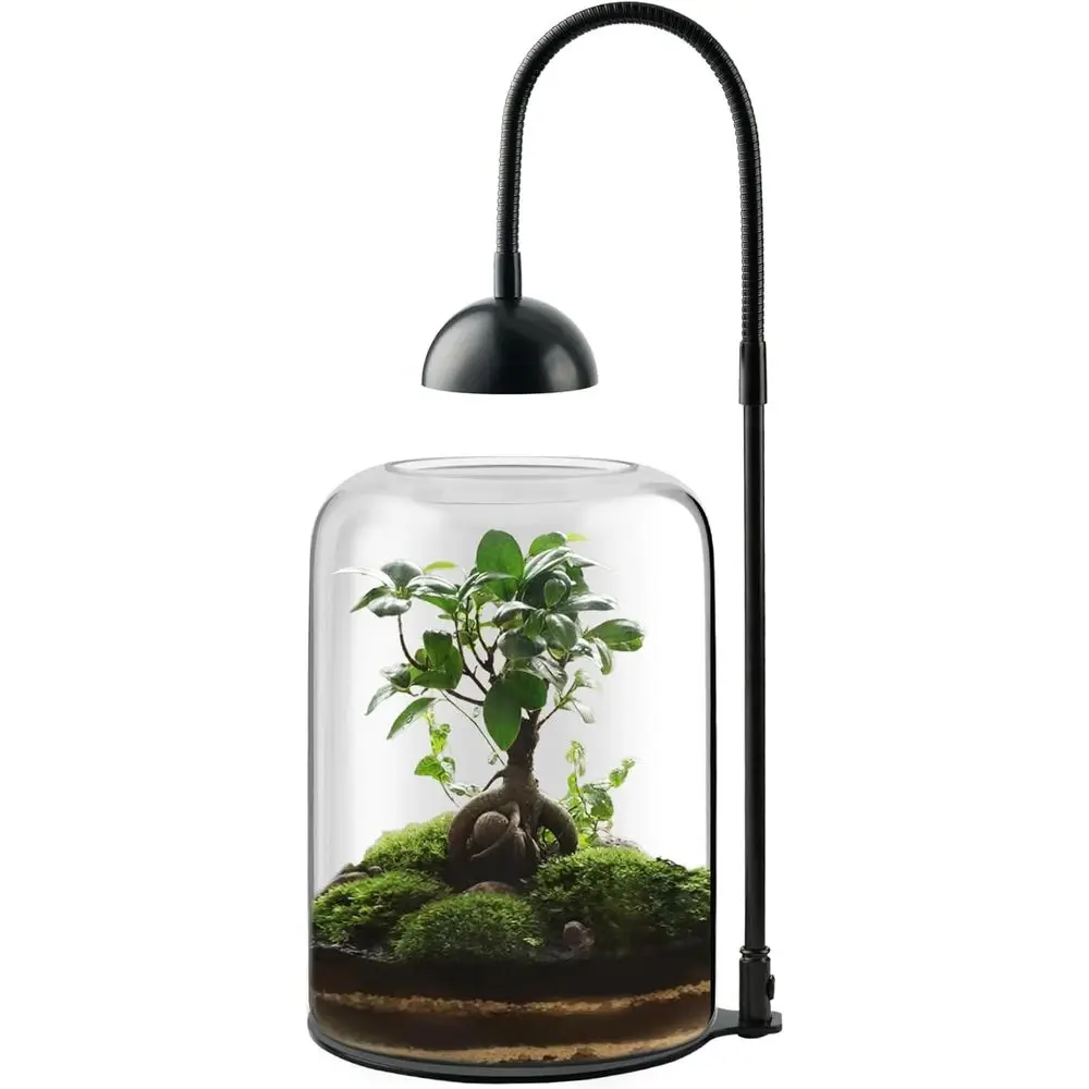 

Plant Terrarium with LED Light & Ventilation, Large for Venus Fly Trap Live Plant, Ideal for Succulents, Home Office Desk Decor,