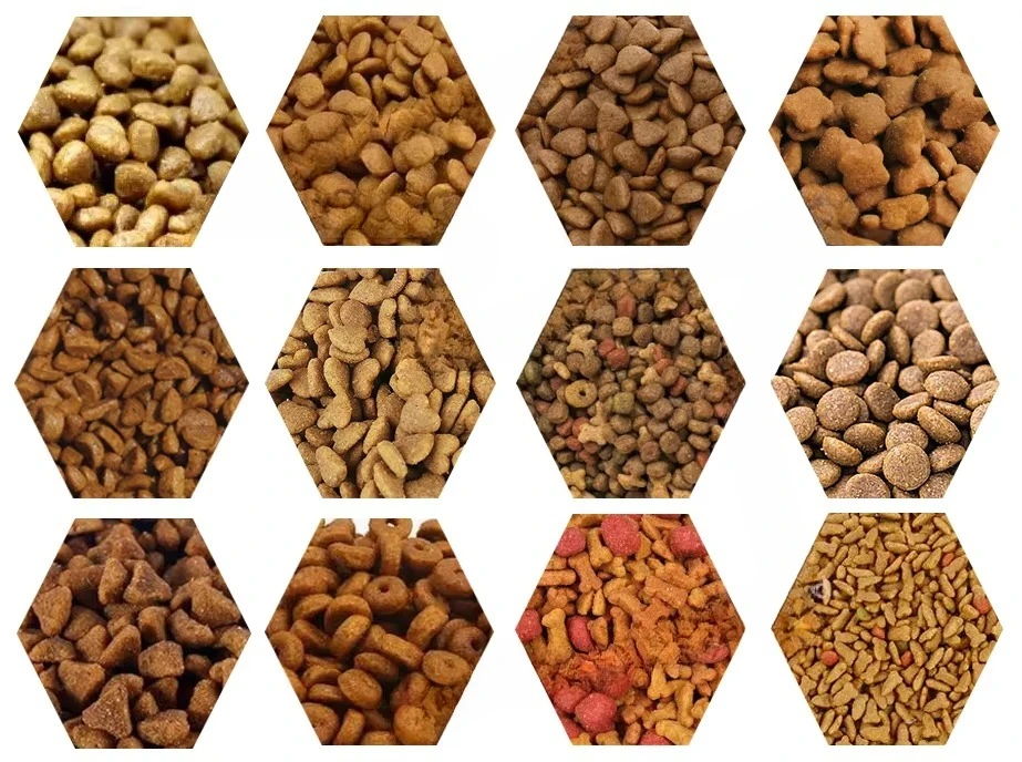 Animal Cat Dog Fish Feed Extruder Making Machinery Line Pet Food Production Manufacturing Factory view 2