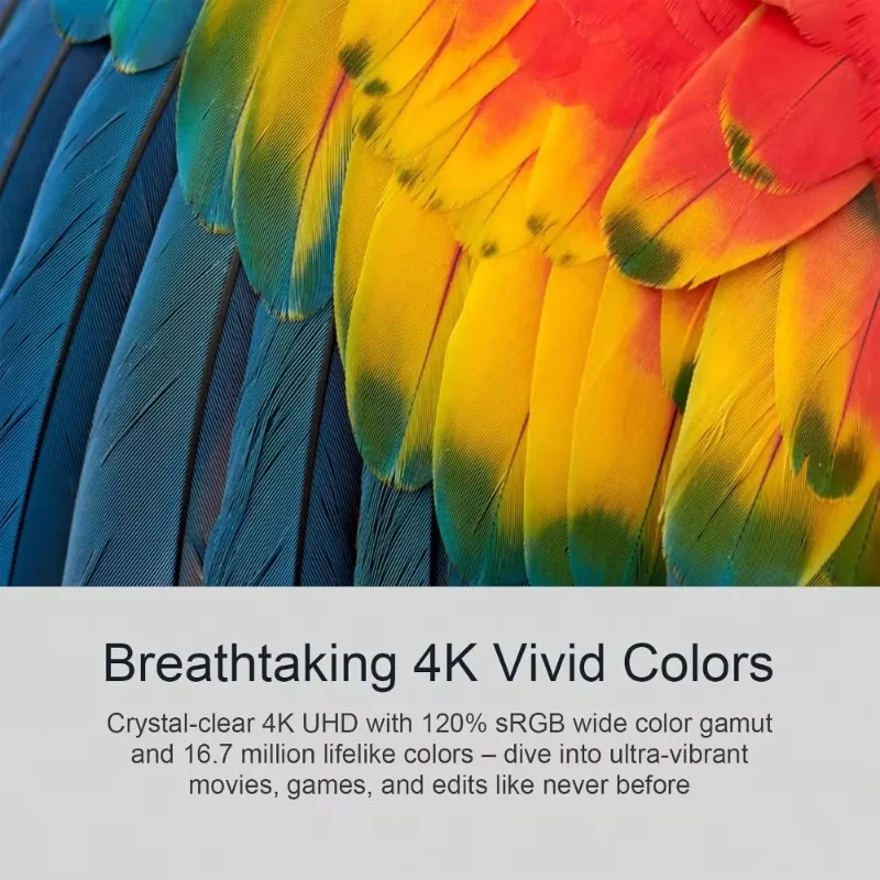 32 Inch 4K UHD Zero‑Frame IPS Monitor with Blue Light Filter and FreeSync 3