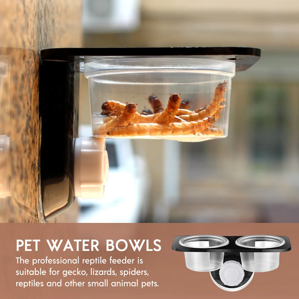 

2Pcs Reptile Food Bowls with Suction Cup Strong Plastic Feeding Dishes for Gecko Lizards Spiders Easy Install No Spill Design