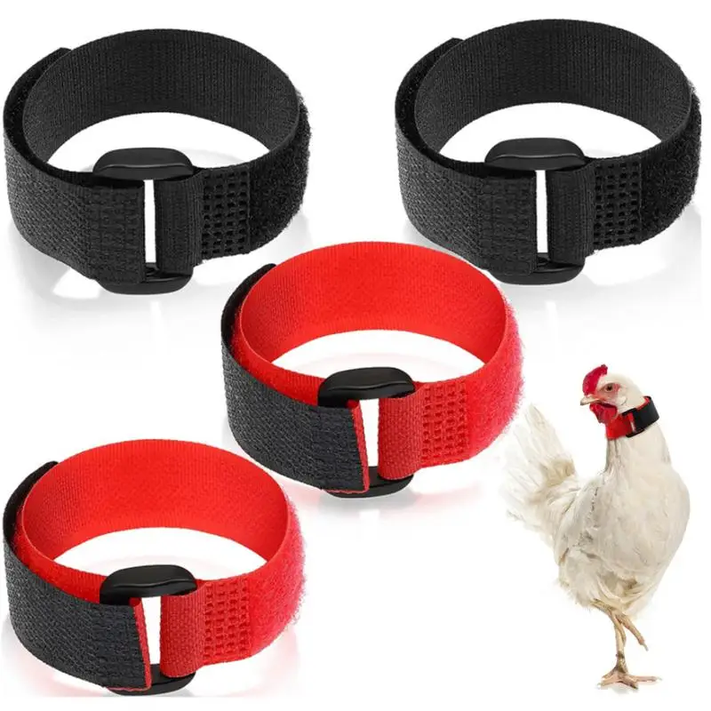 4pcs Rooster Collar Pet Collar Chicken Collar Anti-call Collar Adjustable Collar Reduce Tweet Frequency