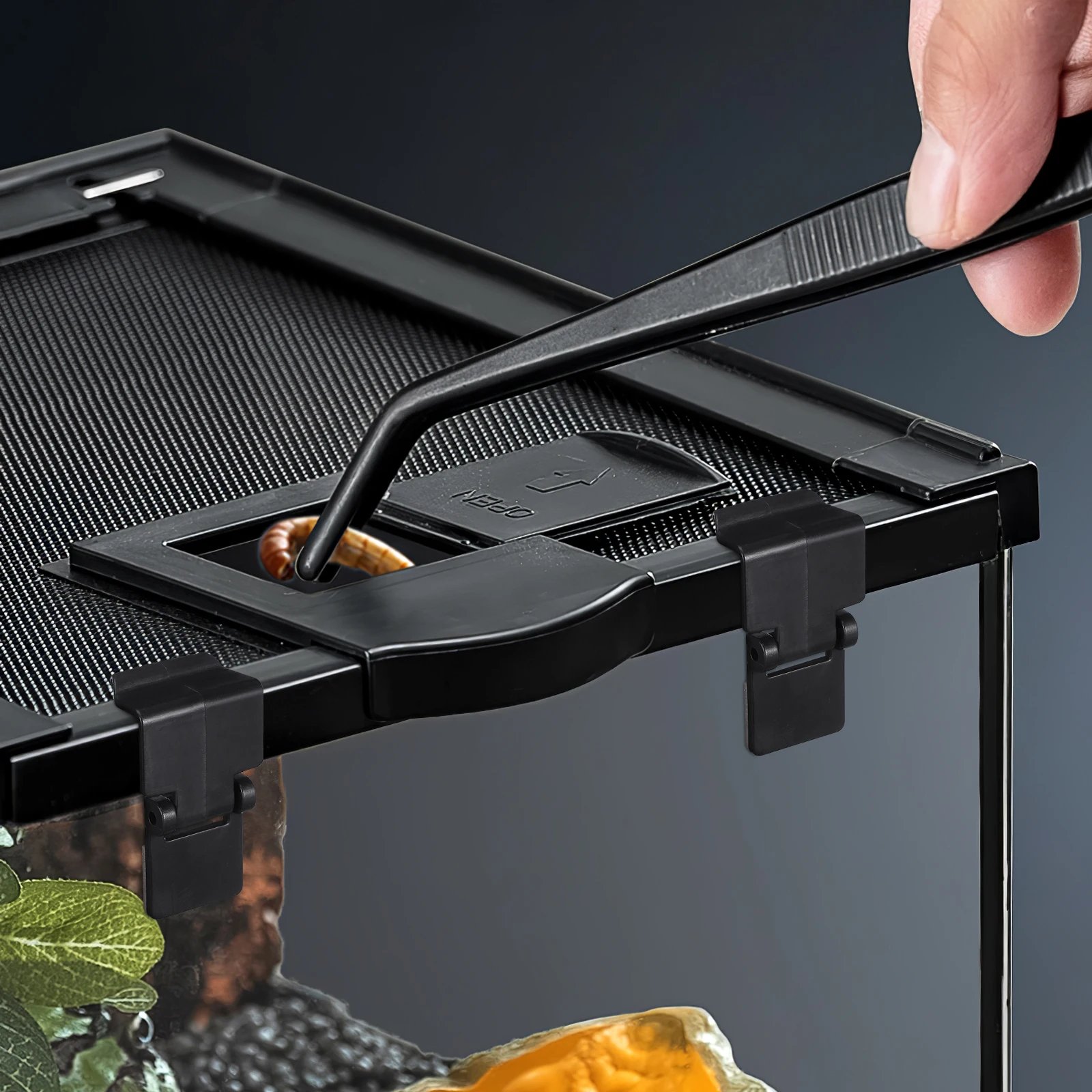 

6pcs Reptile Anti Escape Durable Plastic Buckle For Turtle Terrarium Feeding Breeding Box Supplies Latch Reptile Feeding Box