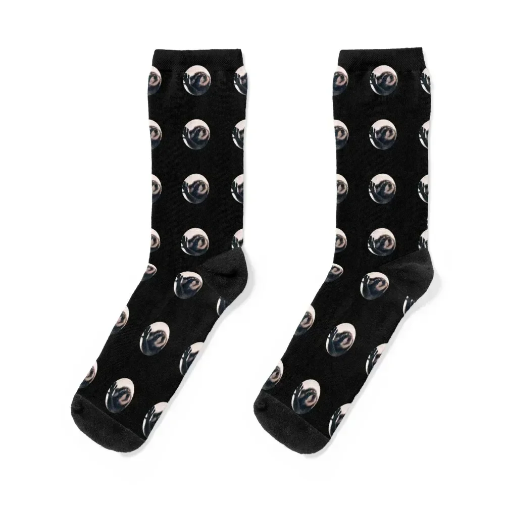 Pedro Raccoon, Meme, Dance, Viral Socks golf Climbing football set Women Socks Men's