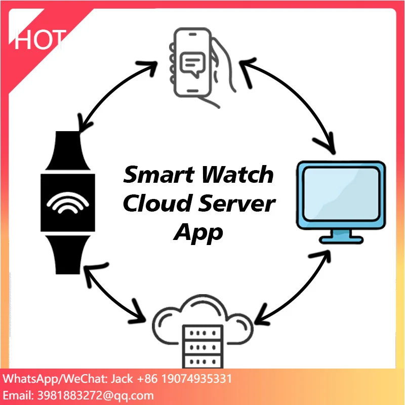 

Secure Cloud Server Software Real-Time Data Sync Solution Cloud-Based Netty App For Smartwatch LoRaWAN Devices Data Management