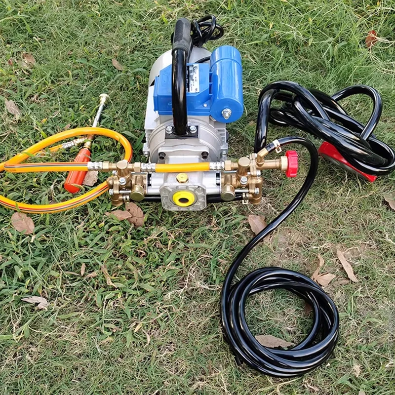 220V Electric Sprayer, Household Four-Stroke Twin-Cylinder Sprayer, Portable Agricultural Pesticide Sprayer, 1100W(Customized)
