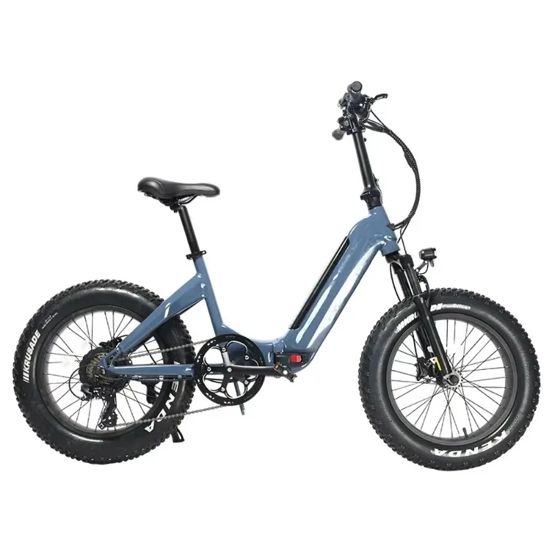 20-Inch folding electric bike 48V 14Ah removable battery adventure commuter with 7-speed aluminum frame and rear hub motor
