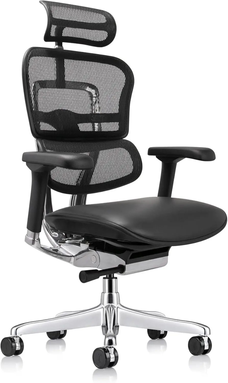 Ergohuman Eurotech Lem4Erg Executive High Back Mesh Office Chair With Leather Seat - Tilt Tension Control, Tilt Lock, Back