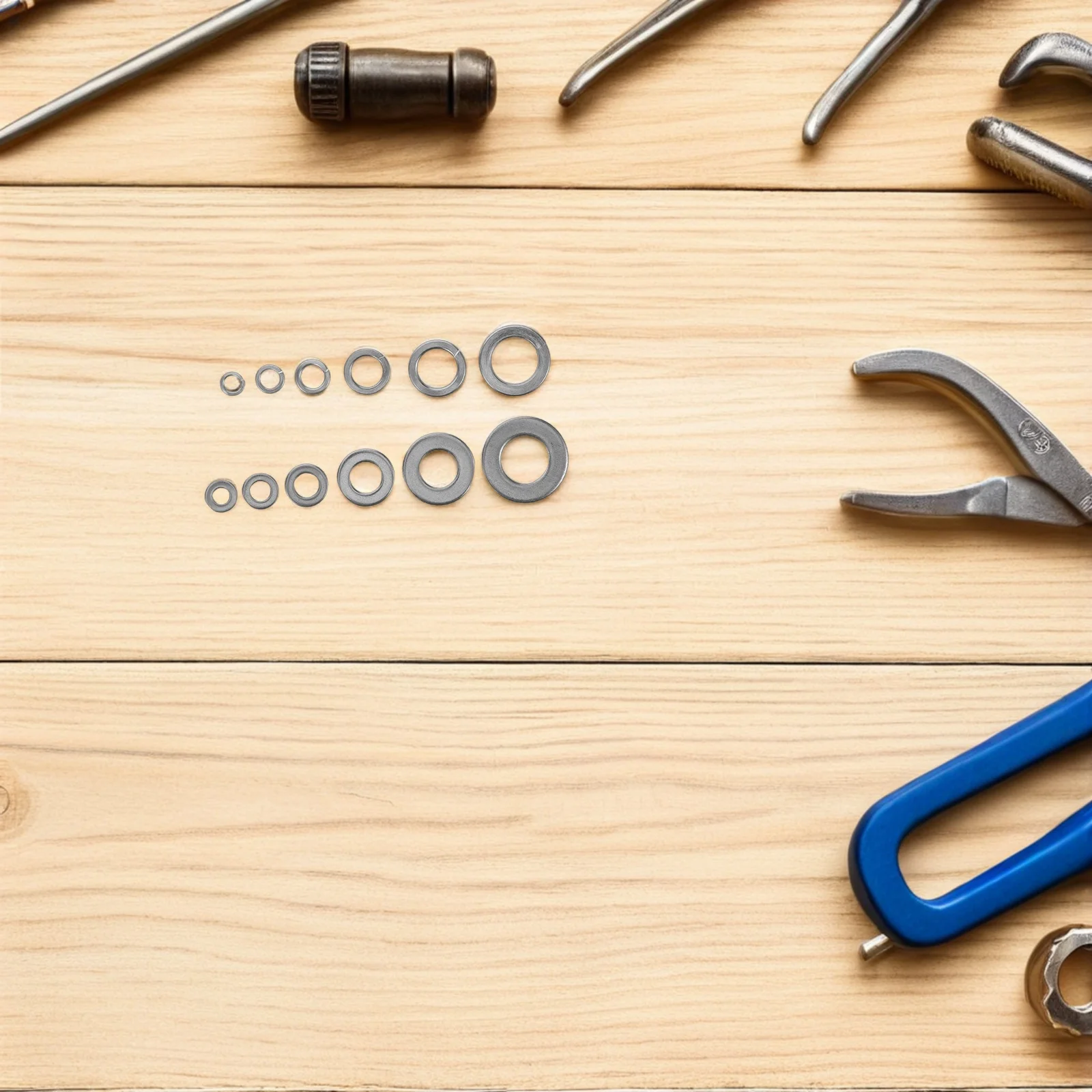 

790Pcs Spring Washer Stainless Steel Flat Washers Assorted Set for Furniture Plumbing Carriage Bolts Spring Washers Assorted