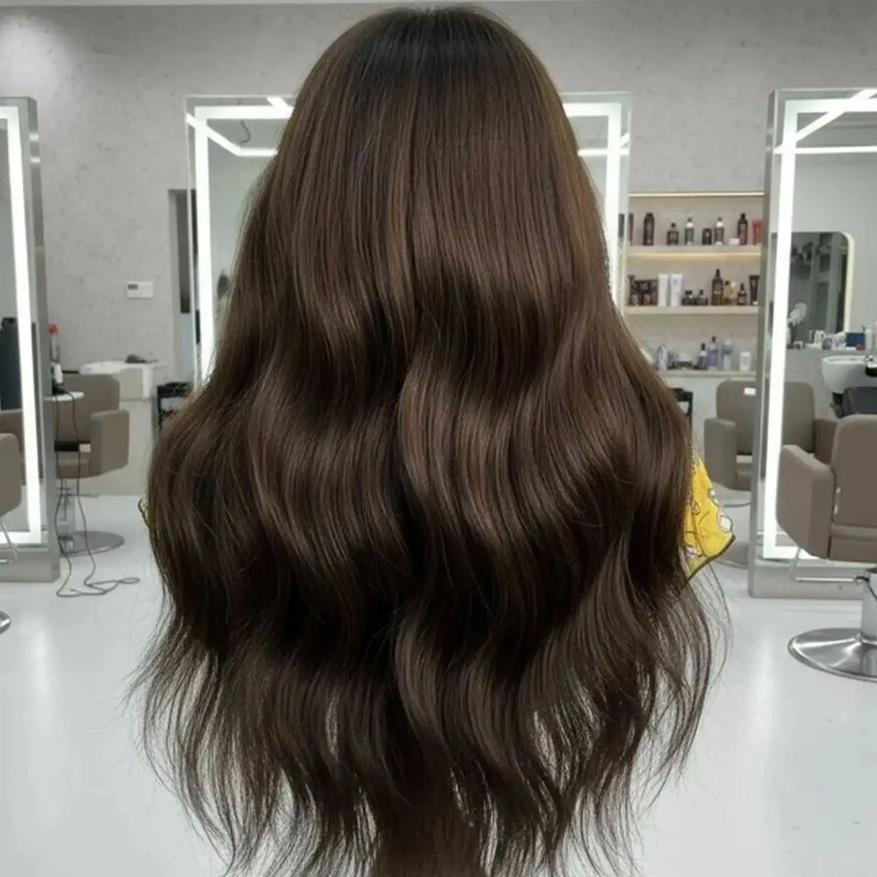 Natural Wave Synthetic HD Lace Front Wig Heat Resistant Grandmother Wig for Women Medium Length 20 Inches Chocolate Brown Hair