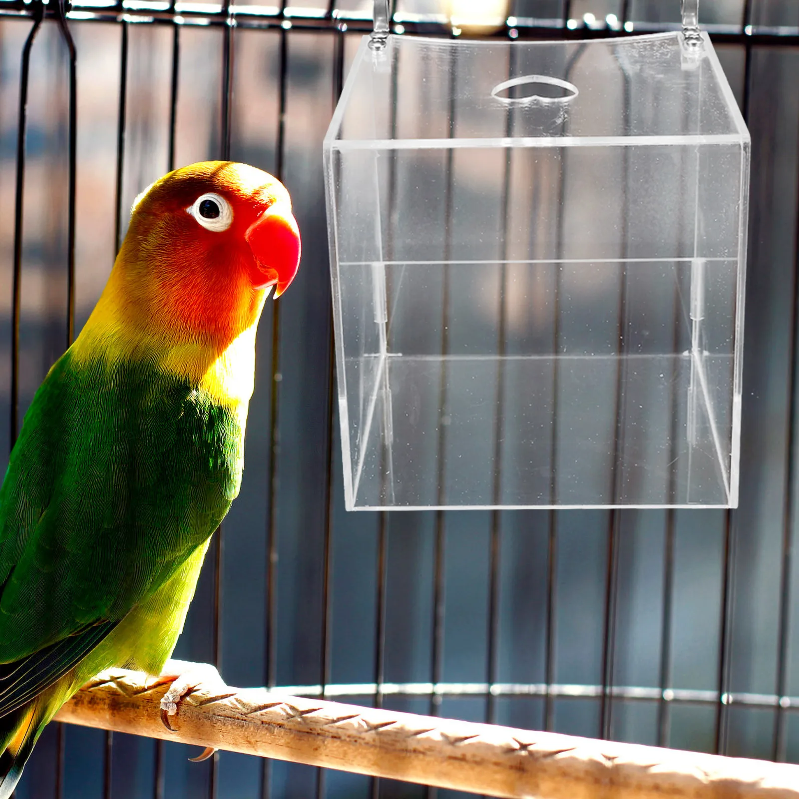 

Durable Transparent Hanging Bird Parrots Bath Box Dust Removal Comfortable Bathing Experience Bird Bathtub