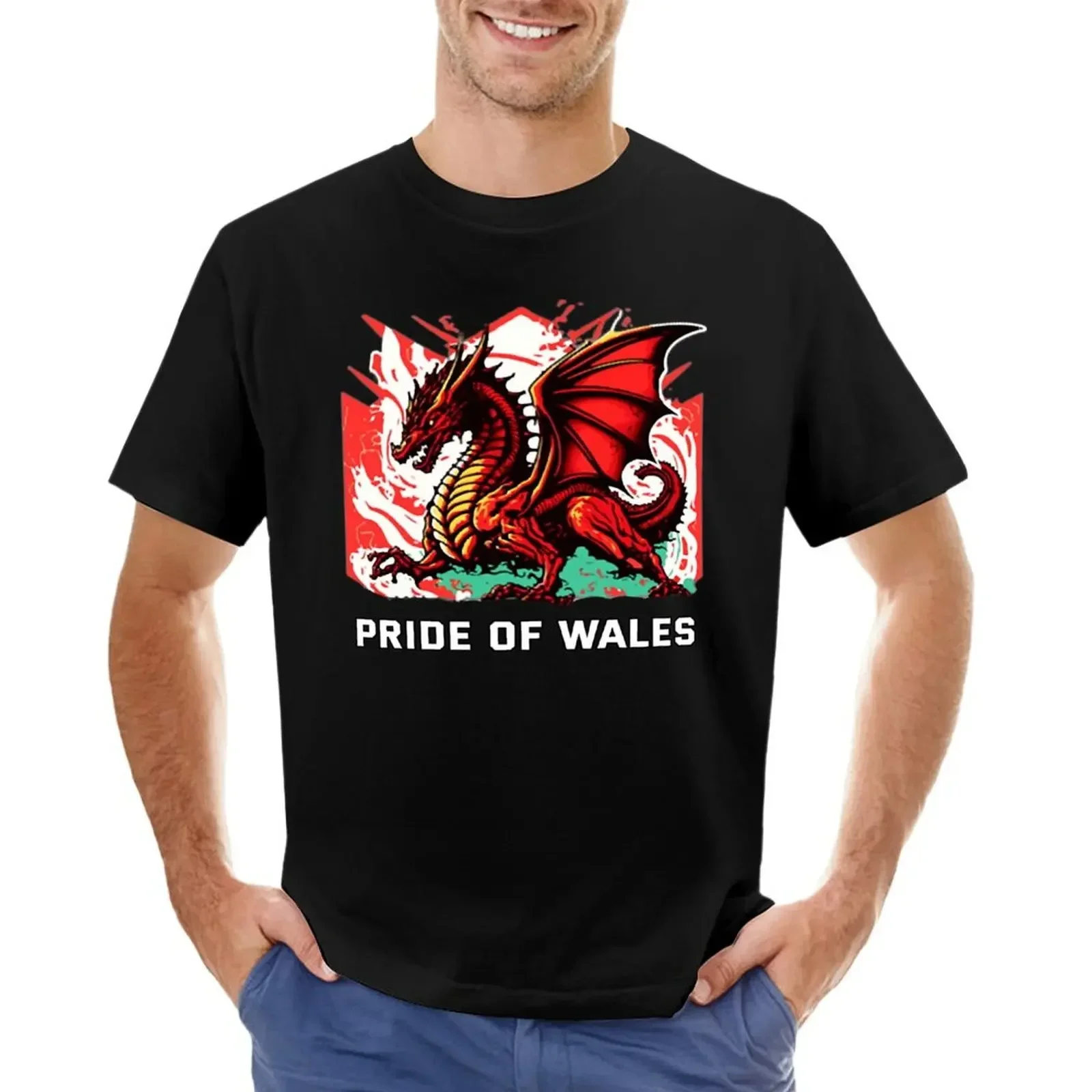 Pride of wales T-shirt aesthetic clothes quick drying men graphic t shirts