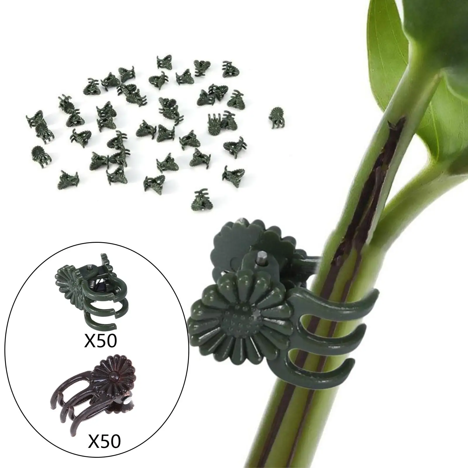 

50 шт. зажимы для орхидеи, зажимы для стеблей цветочной орхидеи, садовые зажимы для заднего двора, двора