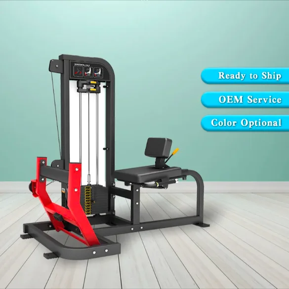 Macchina per l'allenamento della forza delle gambe, attrezzatura per il fitness, estensione dei polpacci, palestra, supporto unico, servizio personalizzato