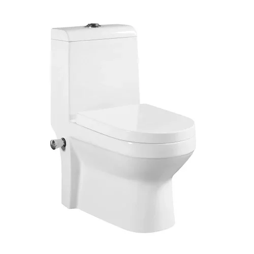 Ceramic One Piece Vagina Toilet Bidet, Toilets with Built-in Bidet