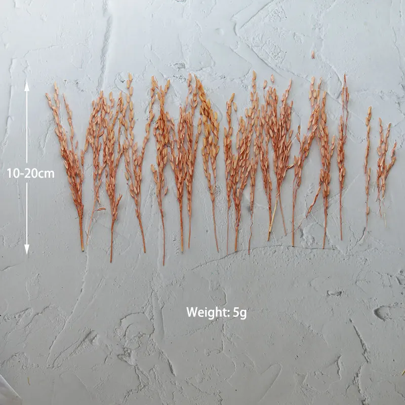 5 جرام/Broomcorn مصبوغ الزهور الطبيعية المجففة ابيض اليدوية DIY المواد الراتنج الايبوكسي الغراء الروائح الشموع الزهور