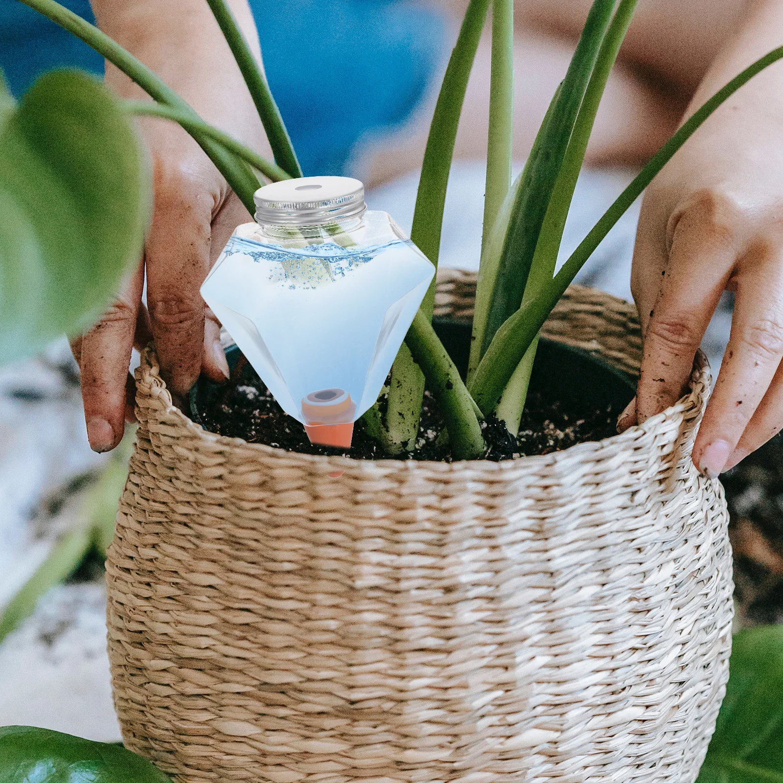 

Self- Spikes Automatic Plant Waterer Slow Release Indoor Garden Plant Irrigation Device Drip System for Healthy