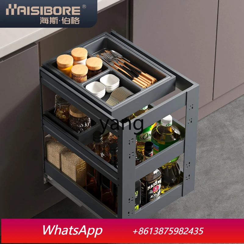 LH basket kitchen cabinet seasoning basket built-in condiment storage basket drawer