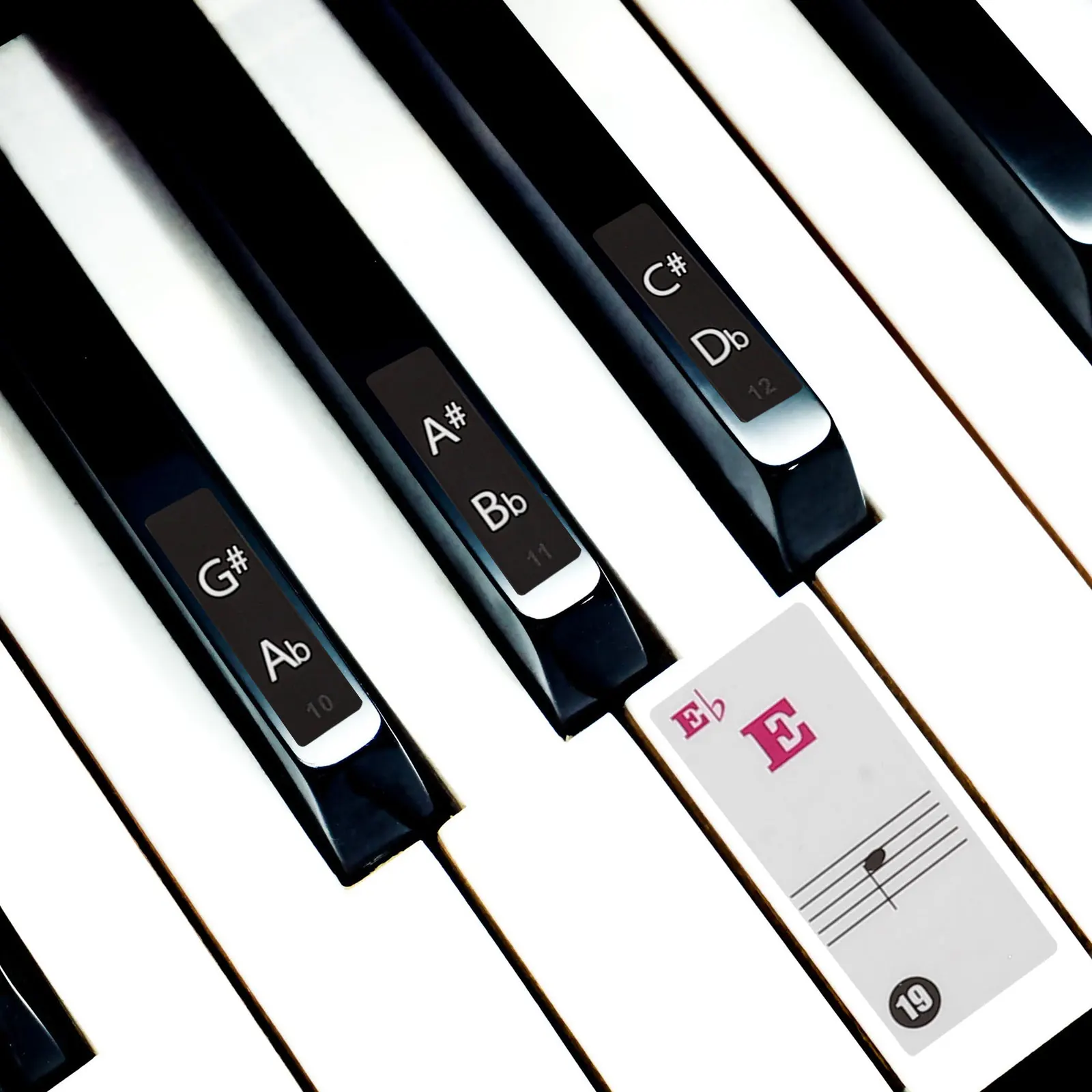 

2 Sheets Piano Keyboard Sticker Stickers Beginner Decal Note Labels Music Notes Decals