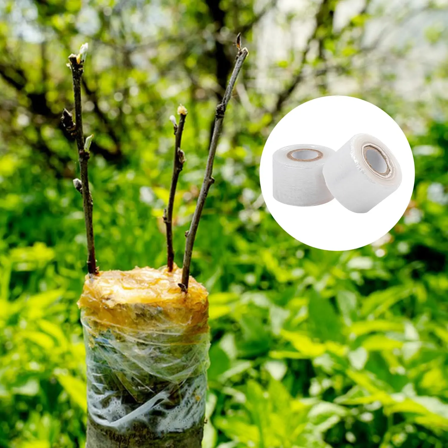 2-Piece Set of Fruit Tree Grafting Tape, Flower Grafting Tool, Horticultural Plant Nursery Tape, Stretchable Self-Adhesive Film