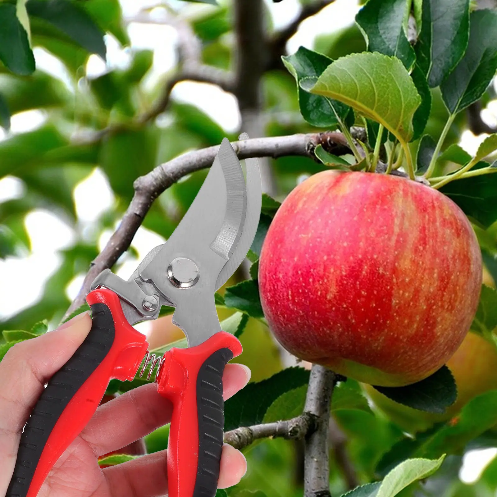 Tool Garden Pruning Shears Steel Halloween Christmas New Year Garden Hand Tools Garden Hand Pruner Garden Scissor Professional