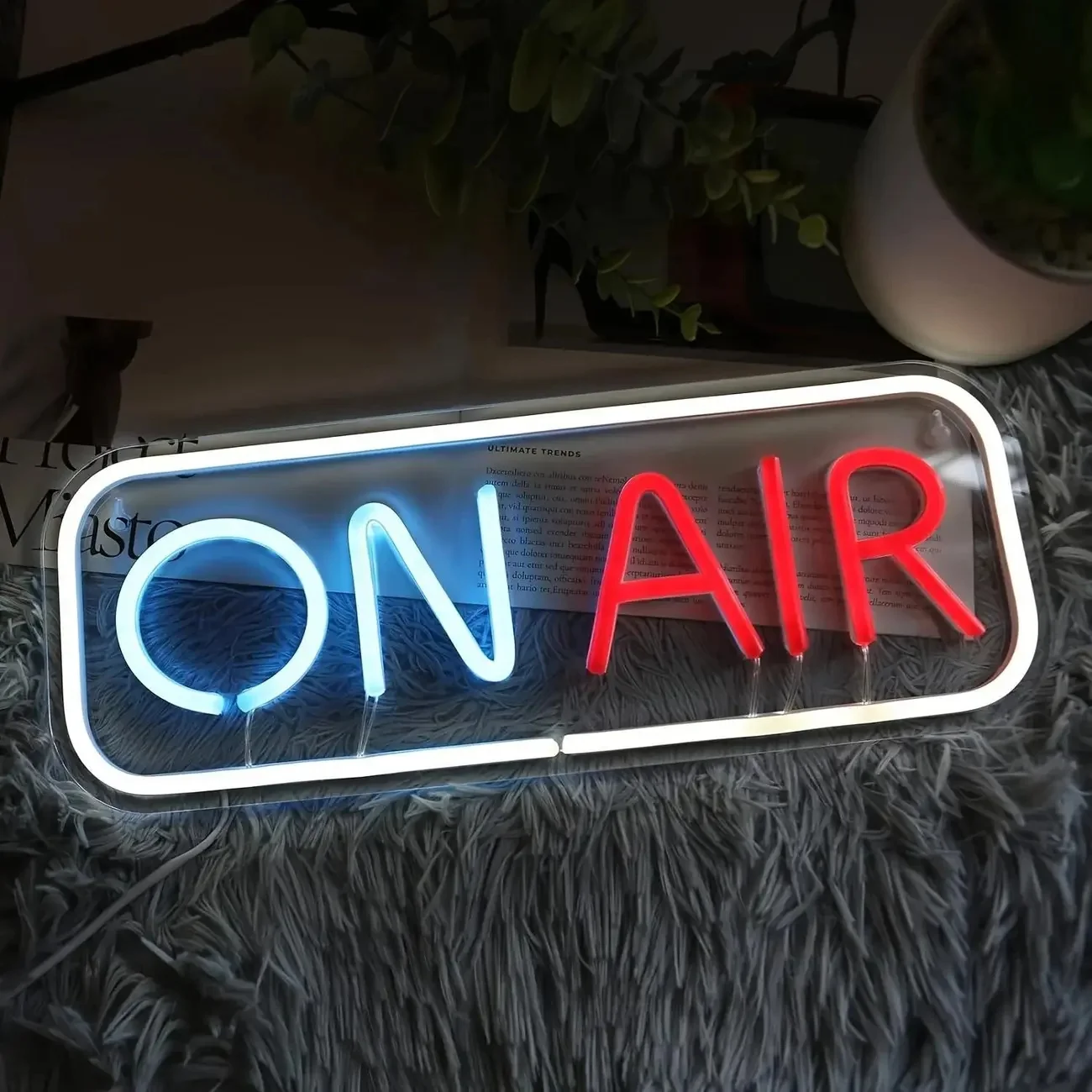 Рисунок 4 - На воздушной светодиодной неоновой