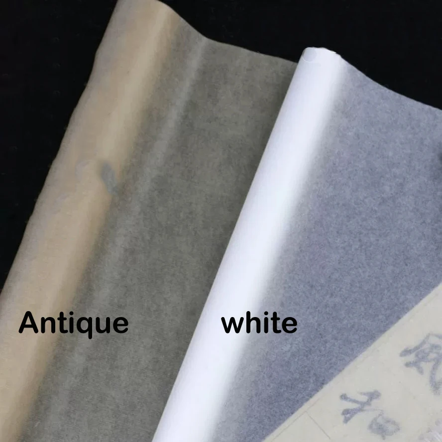 Ultra-Thin Cicada Wing Semi-Raw Xuan Paper with Embossed Patterns - Transparent Tracing Paper for Meticulous Painting Practice