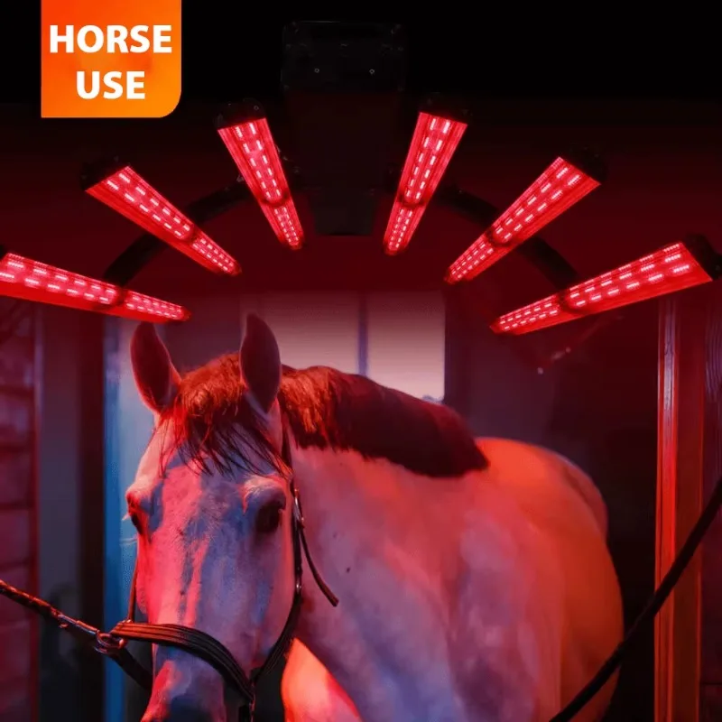 

Equine Red Light Therapy Horse 450nm 660Nm 850nm Led Horse Near Infrared Therapy Machine