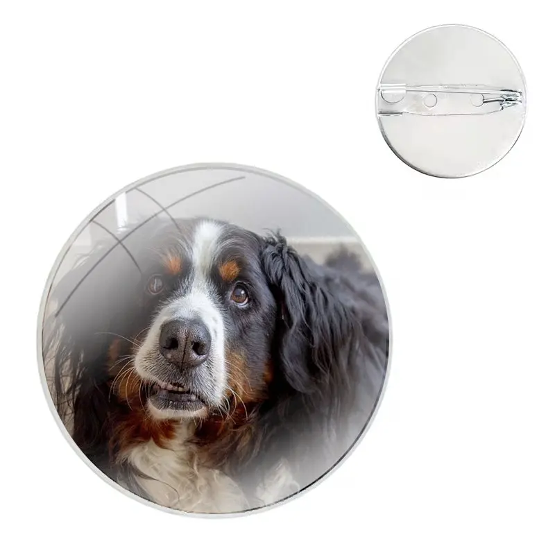 Bernese Mountain Dog Funny Glass Dome Brooches Shirt Lapel Bag Cute Badge Pins For Clothes Hat Accessories