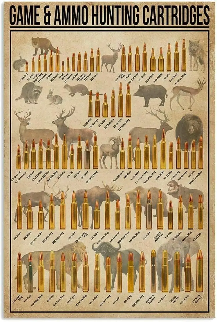 Panneaux métalliques imprimés sur le thème de la chasse, des munitions et des cartouches, affiches éducatives, plaques en fer, peintures métalliques, panneaux rétro pour la maison et les salons de café