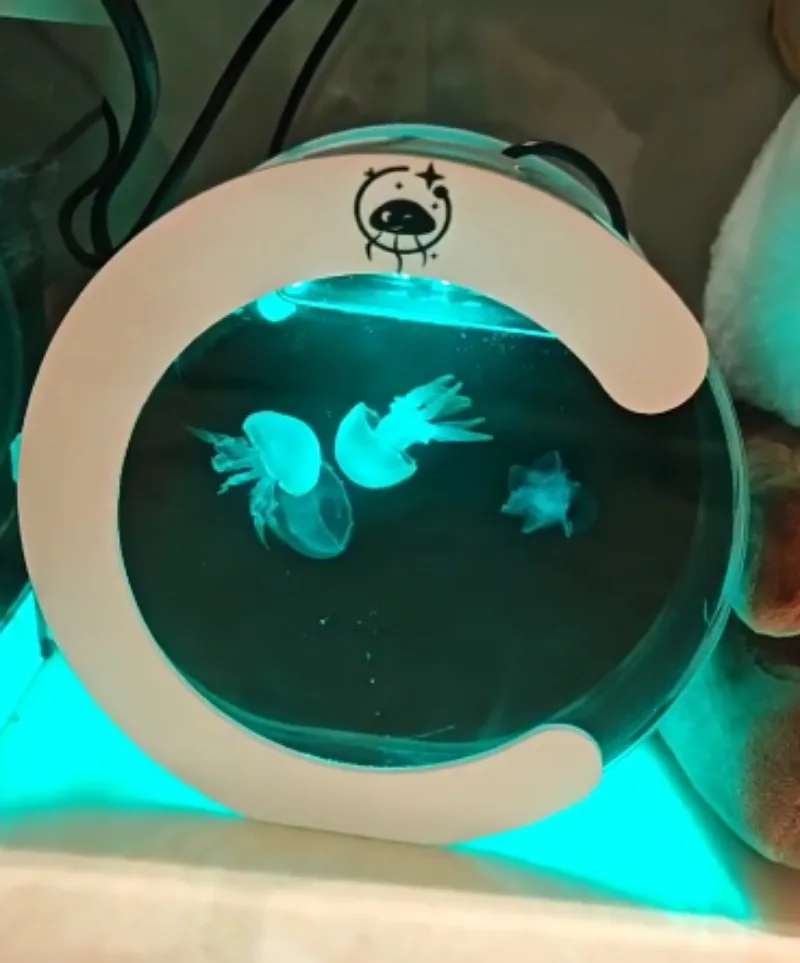 For Desktop Jellyfish‑breeding Aquarium Tank, Small Lazy‑style Circulating Water Pet‑raising Bowl For Indoor Ornamental Creature
