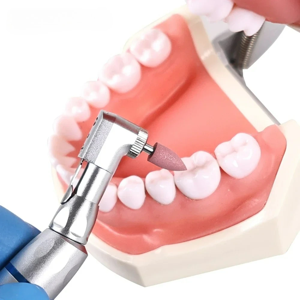 Dental Polishing Rubber Grinding Silicone Head 2.35mm Stainless Handle RotaryTeeth Polisher for Low-speed Machine Dentist Tools