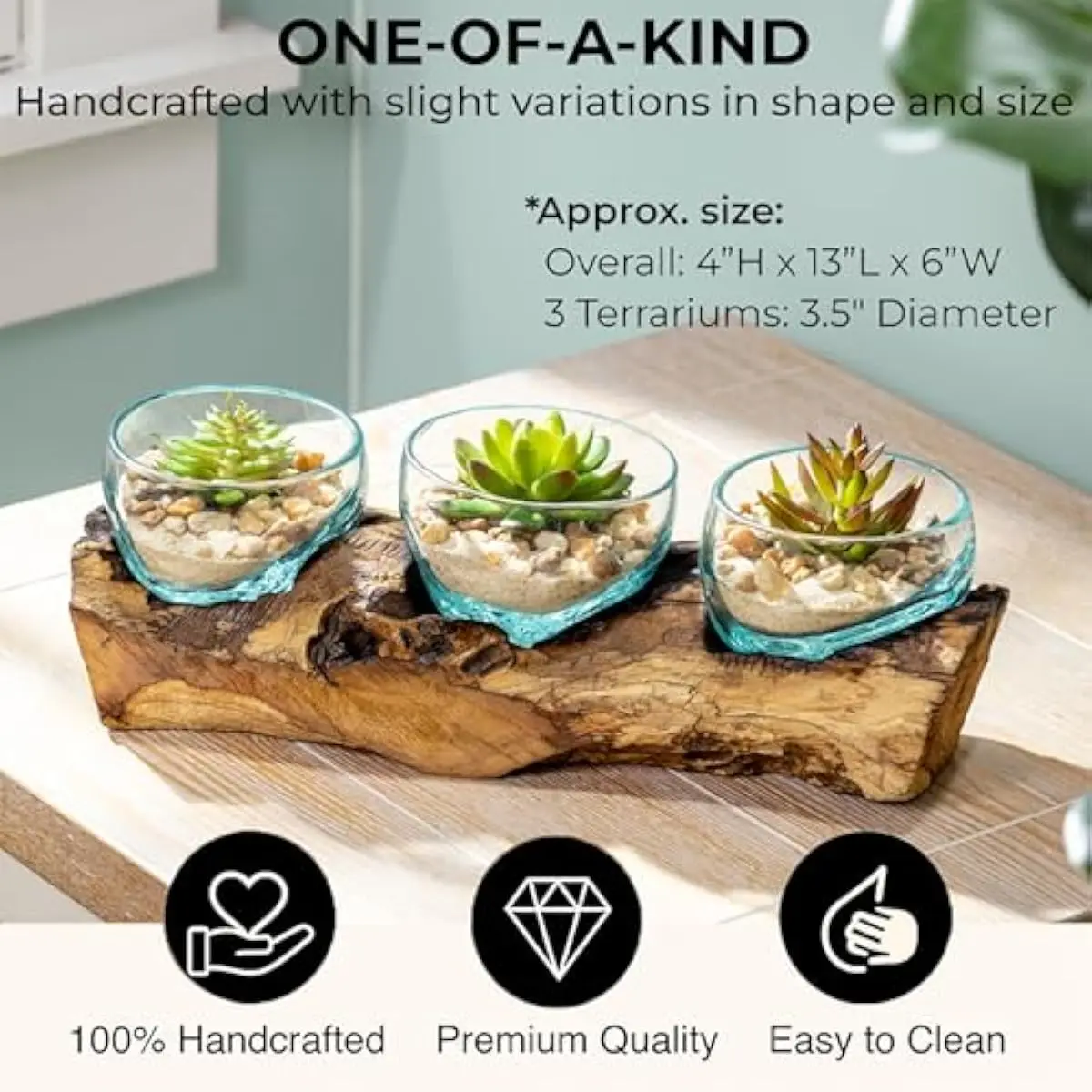 Set of 3 Handcrafted Glass Terrariums in Soft Blue Hue | Natural Teak Driftwood Bases | Indoor Living Plant Display | Clear Recy