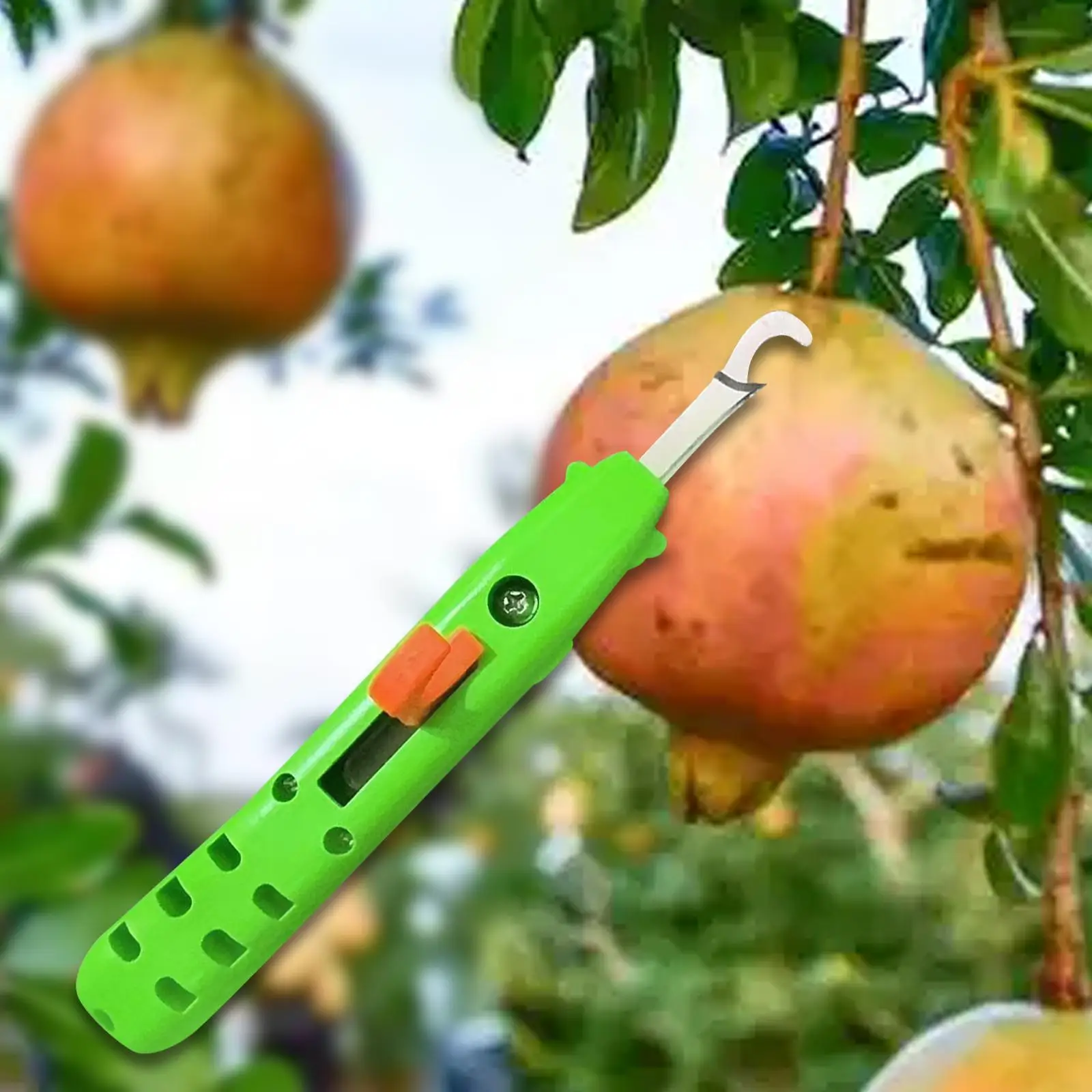 Strumento per la raccolta di verdure Raccoglitrice di pepe ergonomica veloce Strumento per la raccolta di potatura di fiori per uva melograno peperoncino pomodoro giardinaggio