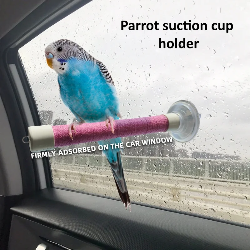 #78 Bird Perch Stands Comparison Guide