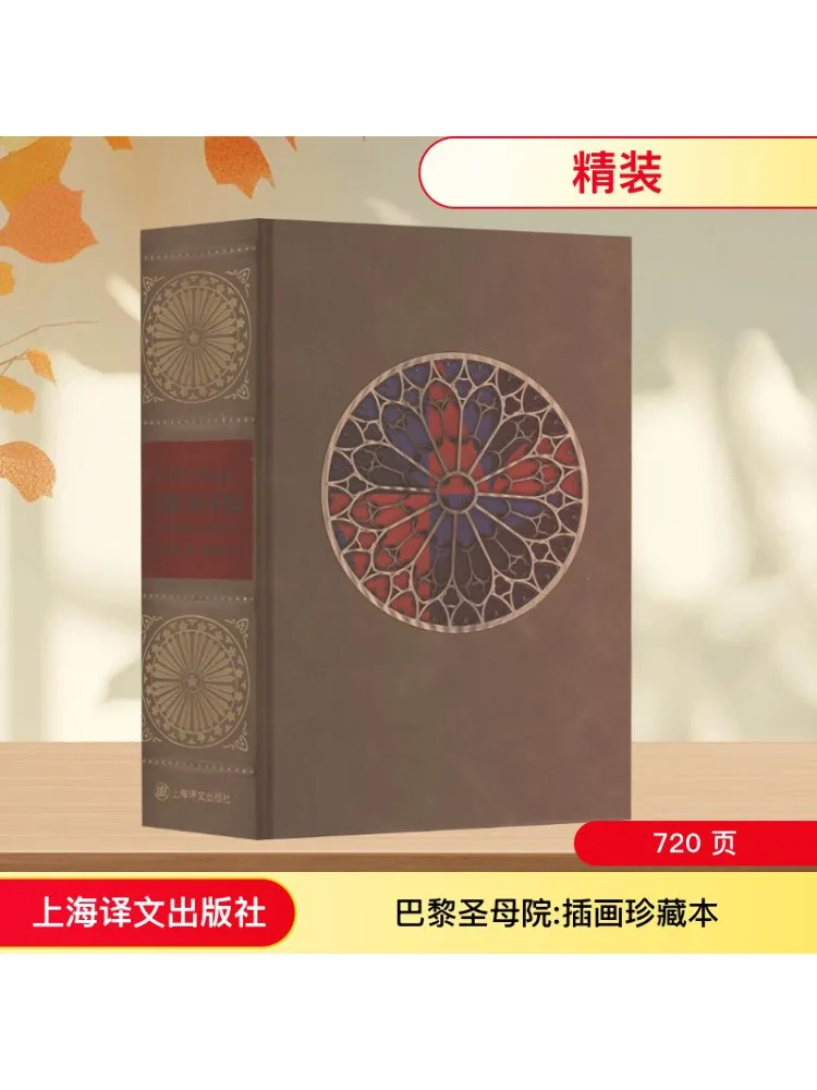 

Book-Winshare Notre Dame De Paris Иллюстрированная коллекция