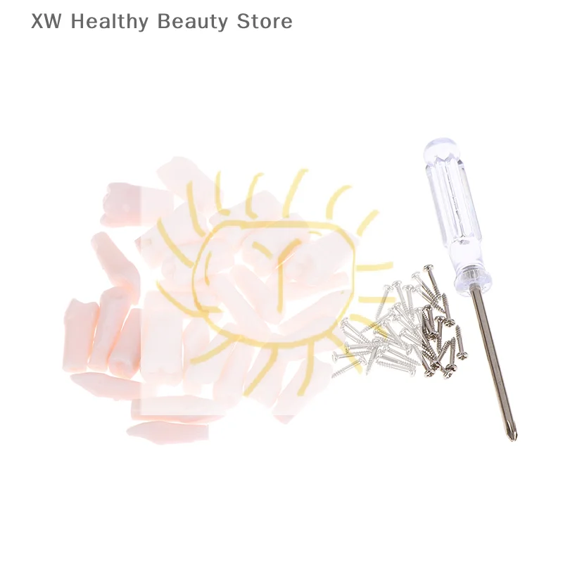 

28 шт., сменные зубы Typodont, съемные ввинчивающиеся стандартные зубы для подготовки стоматологии, обучение, обучение