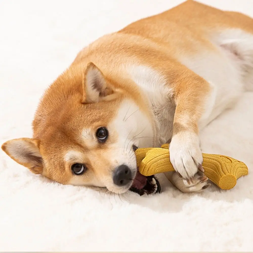 2 قطعة اكسسوارات الحيوانات الأليفة سجل اللون الكلب مضغ عصا لدغة مقاومة العظام شكل الكلاب مضغ اللعب الخشب جرو المولي لعب لتنظيف الأسنان #3