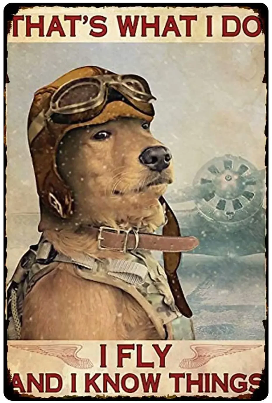 Plaque en métal vintage drôle 'Dog Pilot' avec la citation 'I Did Just That I Fly and I Know Things' pour salle de bain