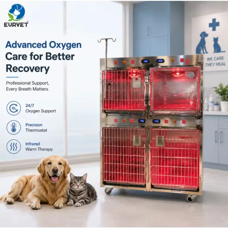 EURVET Veterinary Equipment Pet ICU Cage 304 Stainless Steel Oxygen Chamber For Dog Cat Hospital